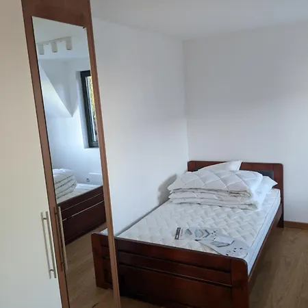 Evergreen Kopaonik