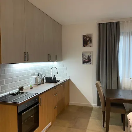 Apartment Evergreen Kopaonik